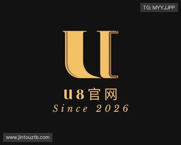 了解U8国际